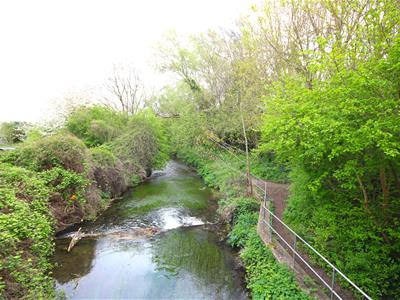 Picture 14
